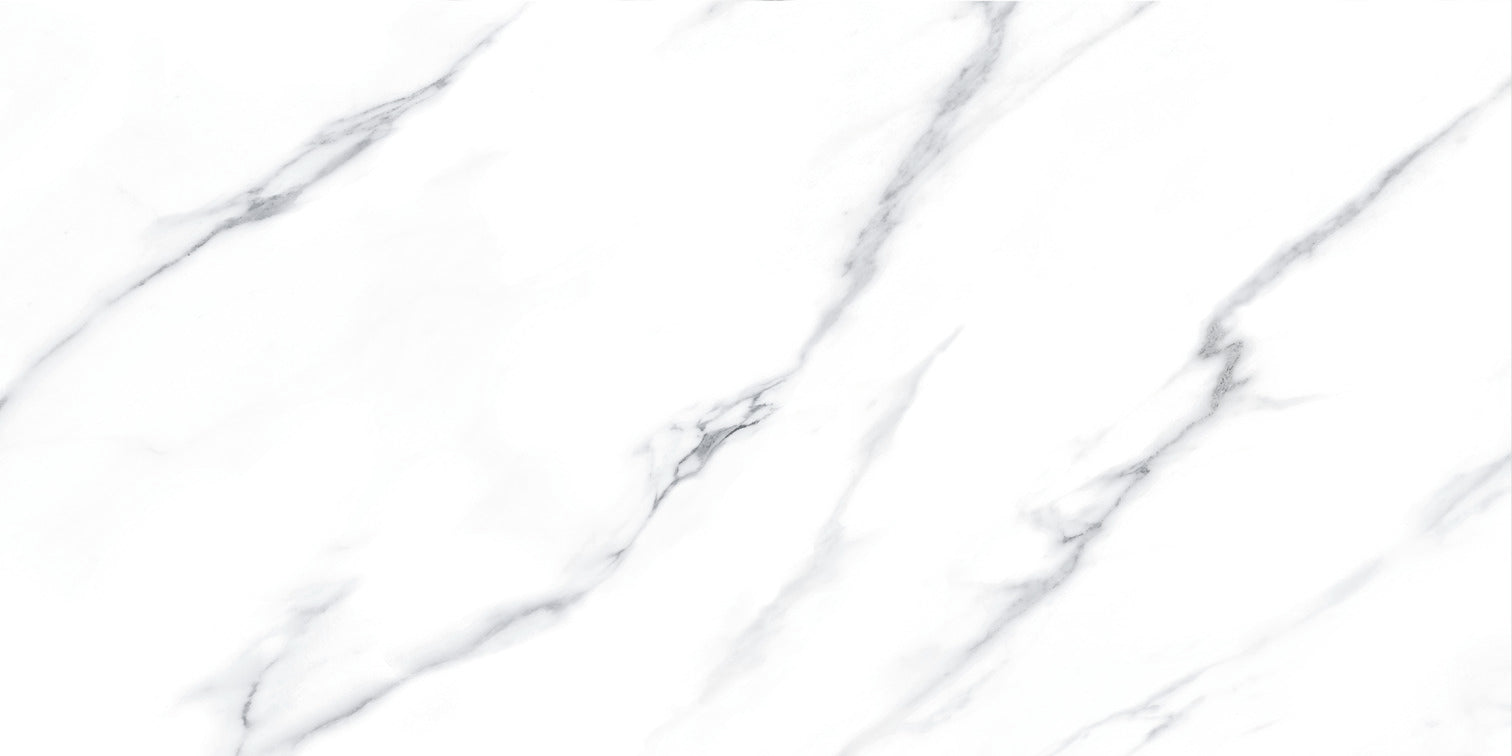 CARRARA 60x120 NPLUS