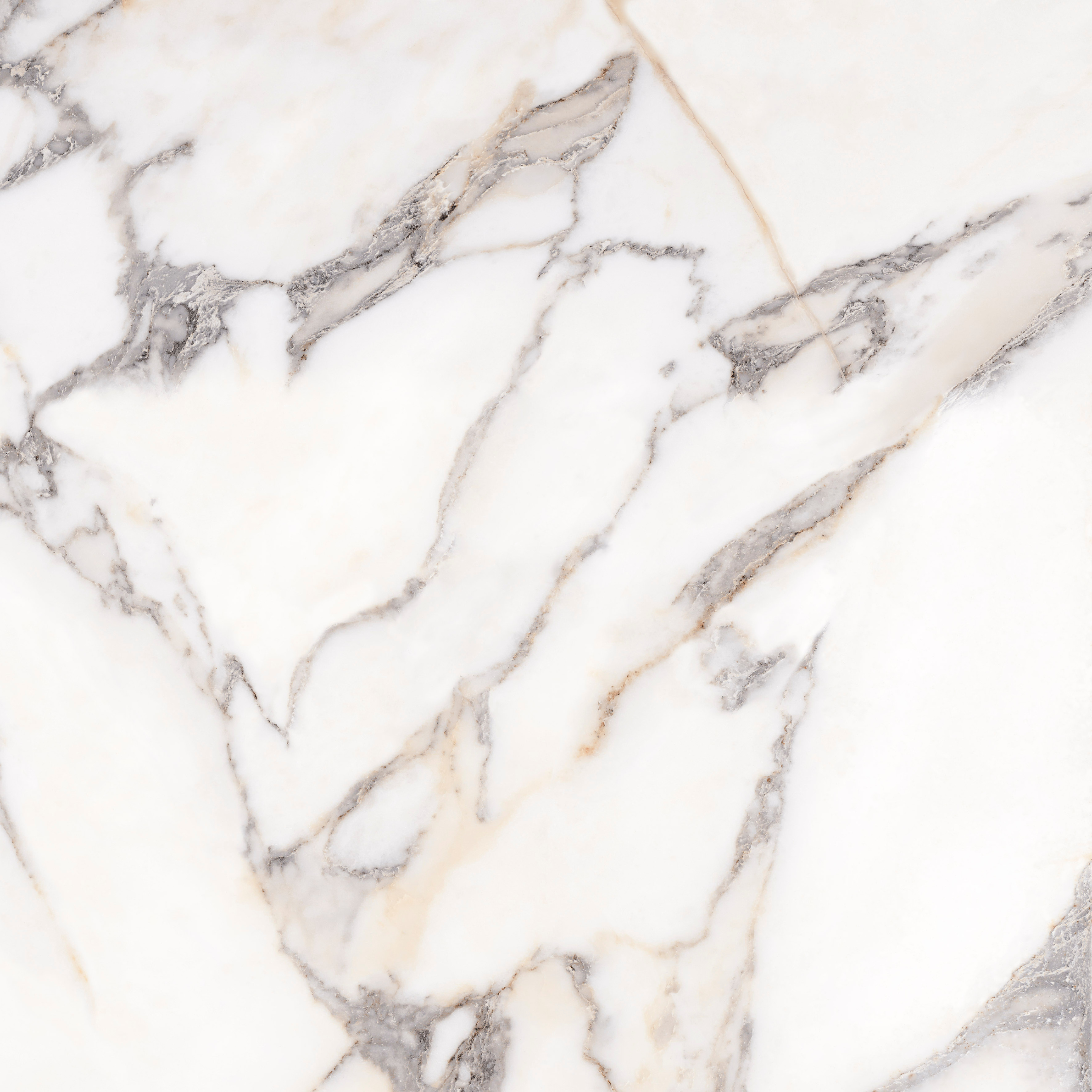 OPERA WHITE 60120 REC