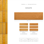 Masovia senape B gloss STR