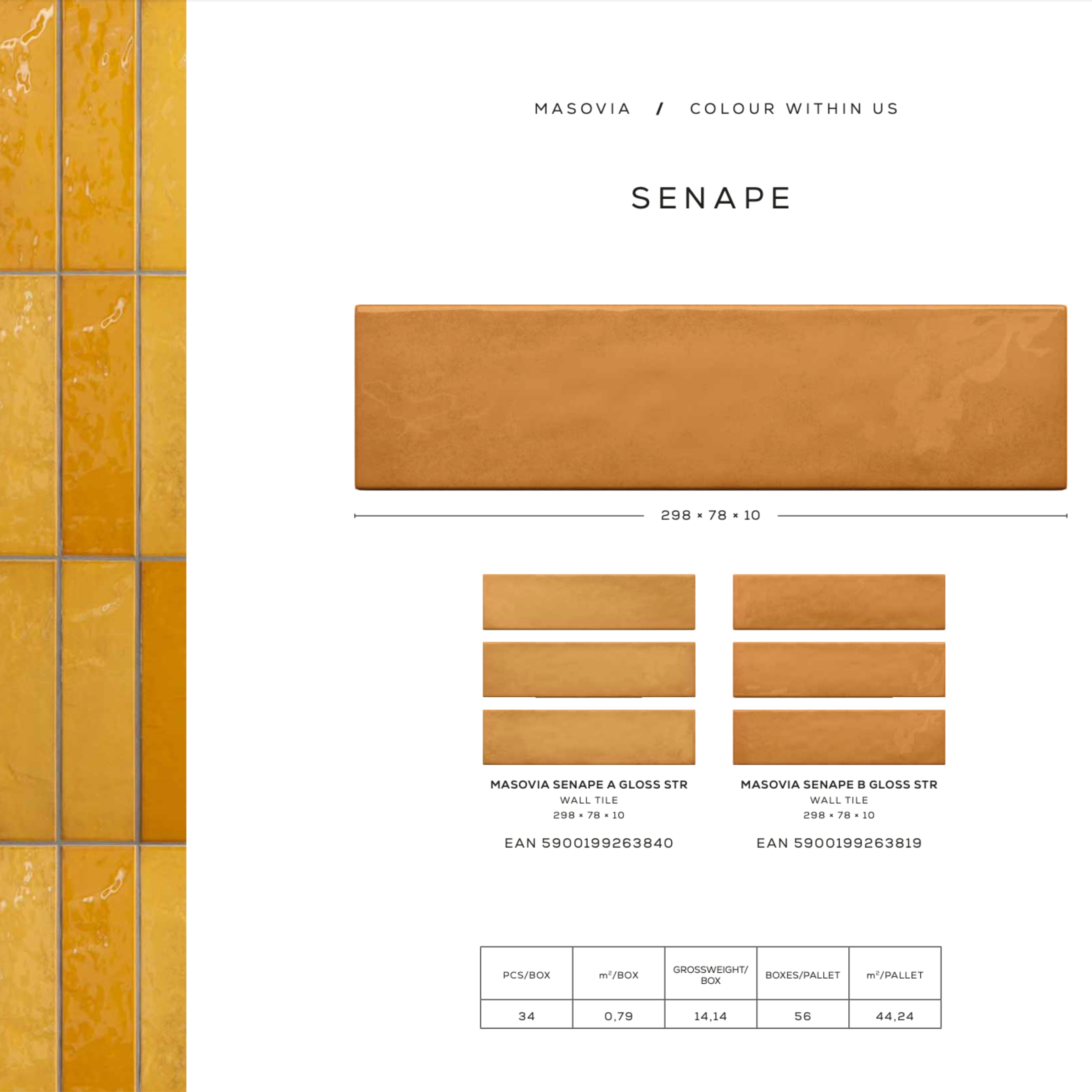 Masovia senape B gloss STR