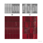 Masovia nero gloss STR