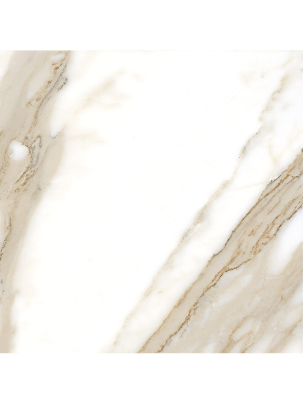 CALACATTA 120X120 NPLUS