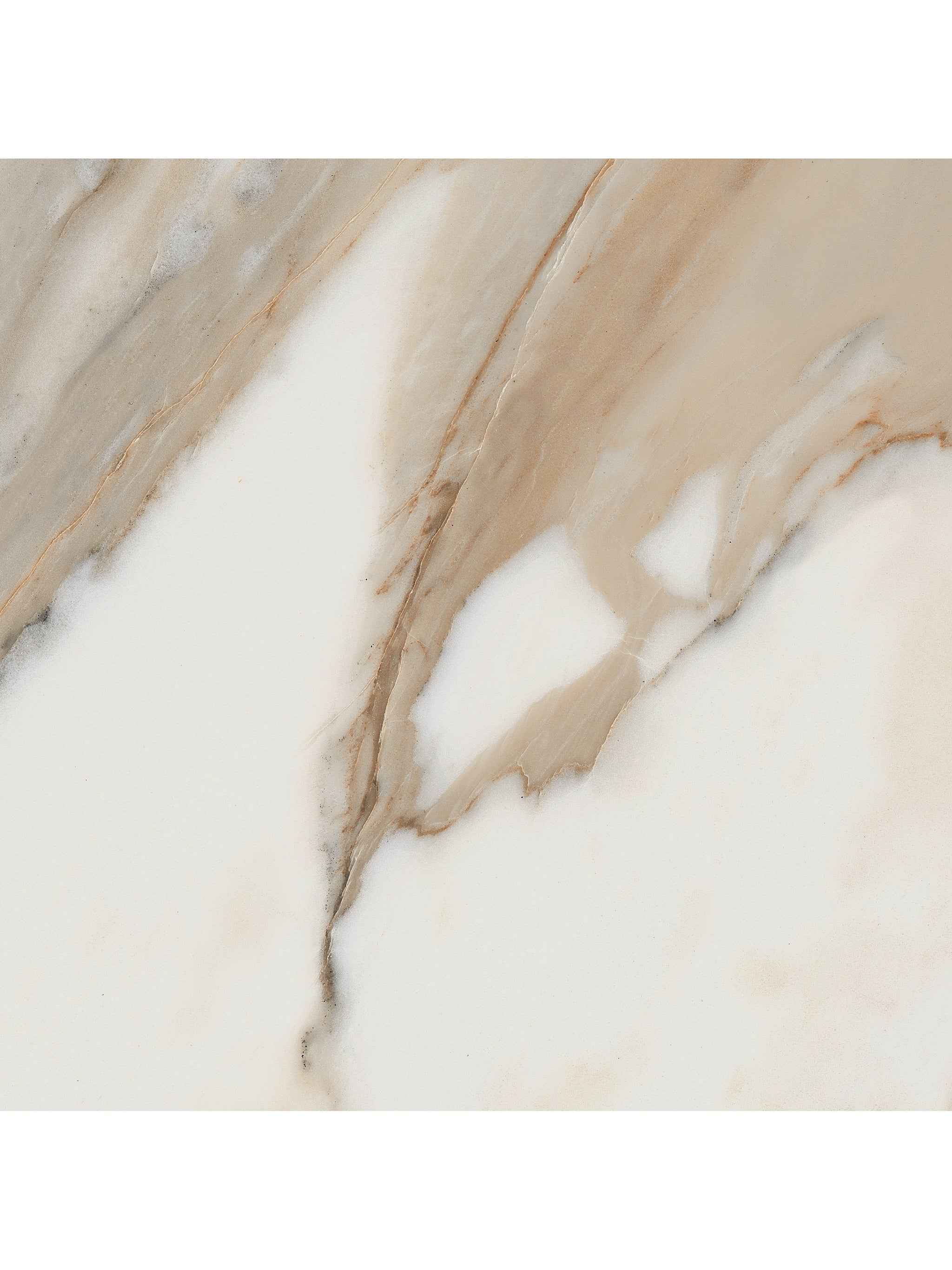 CALACATTA 60x60 REC