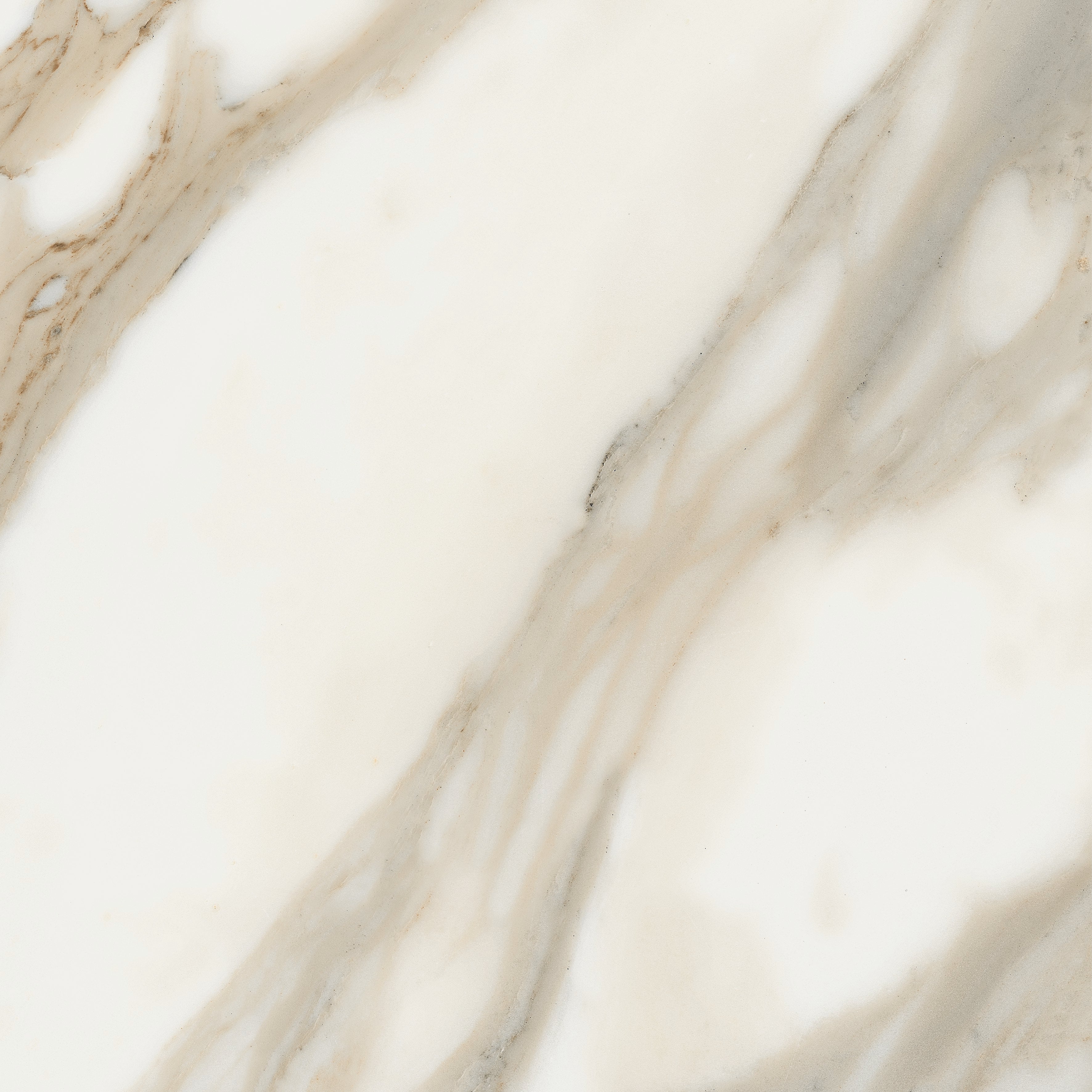 CALACATTA 90 x 90 NPLUS