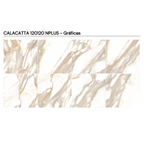 CALACATTA 120X120 REC