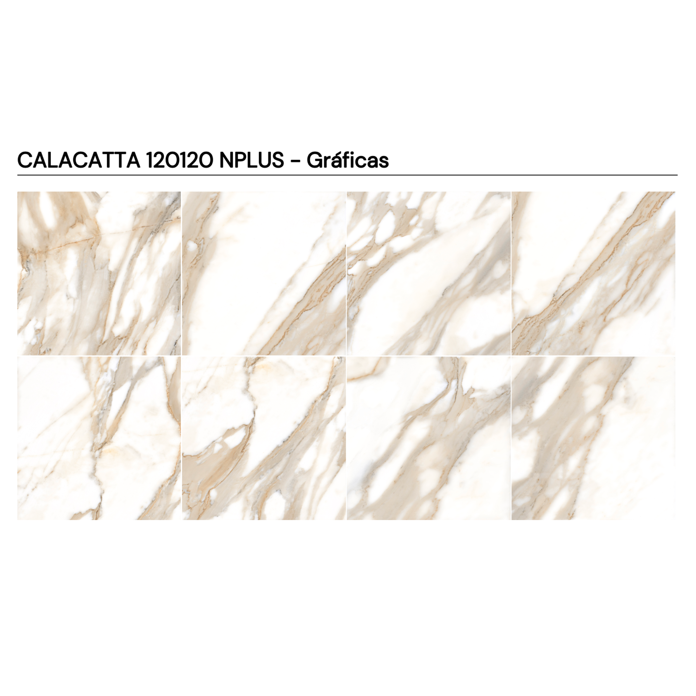 CALACATTA 120X120 REC