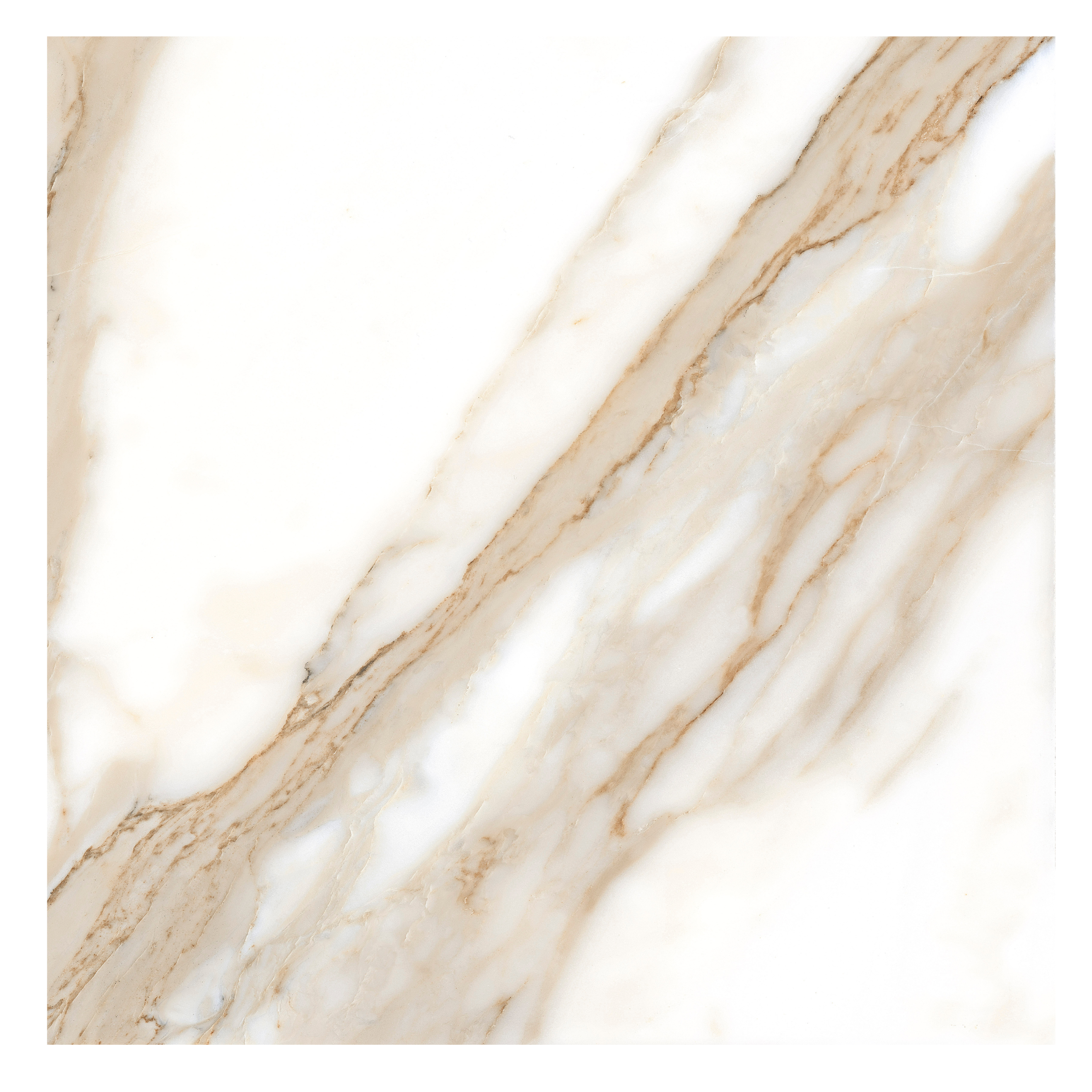 CALACATTA 120X120 REC