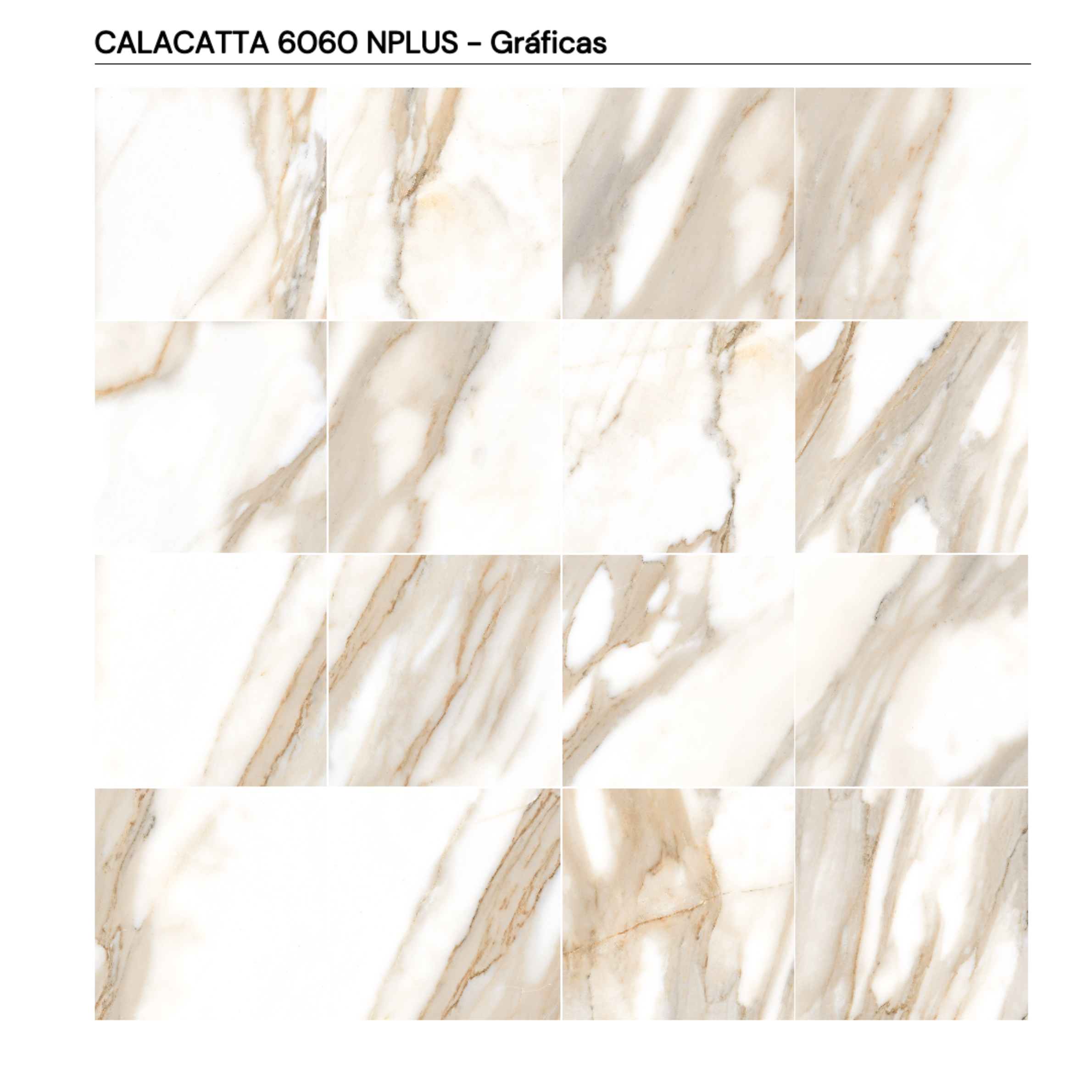 CALACATTA 60x60 NPLUS