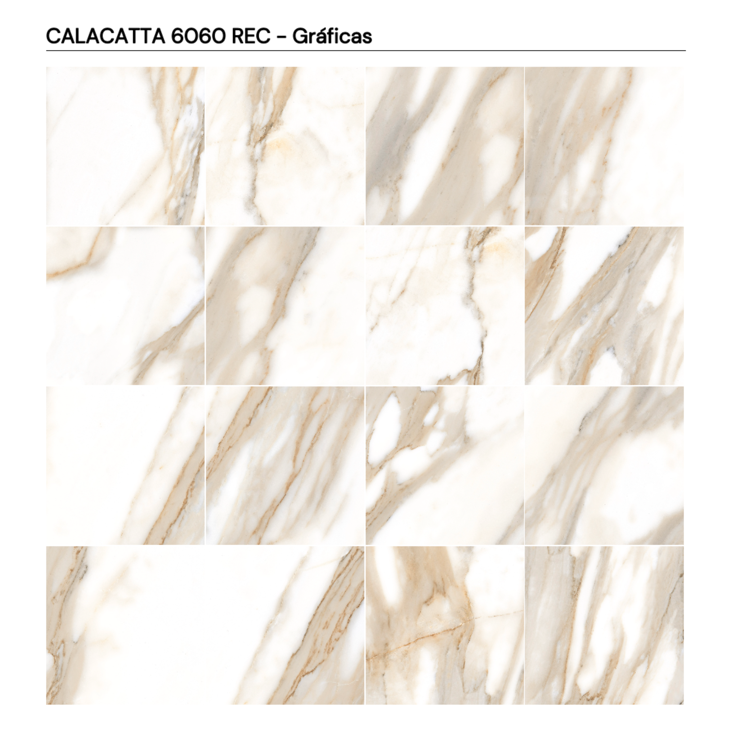 CALACATTA 60x60 REC