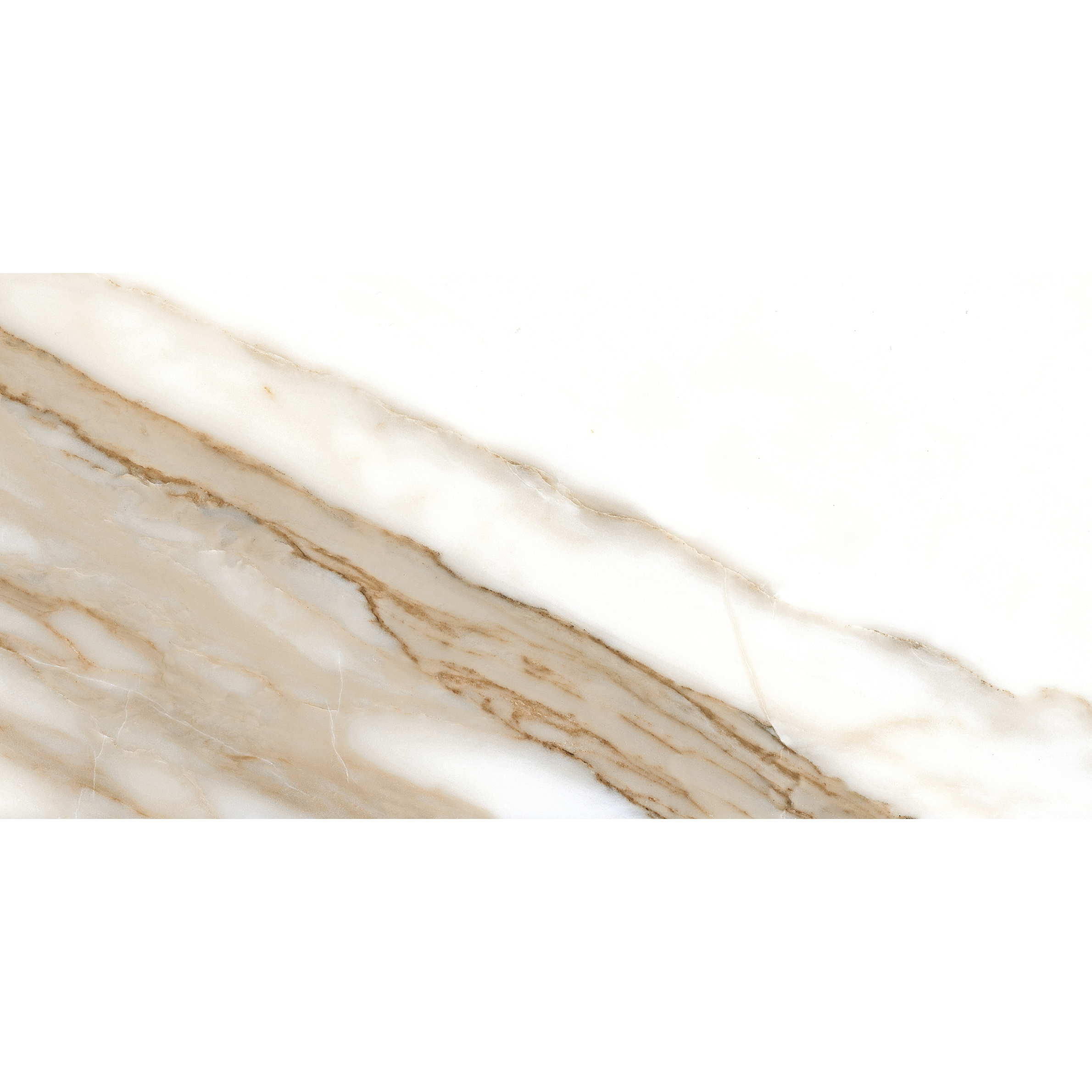 CALACATTA GOLD 60 x 120 NPLUS