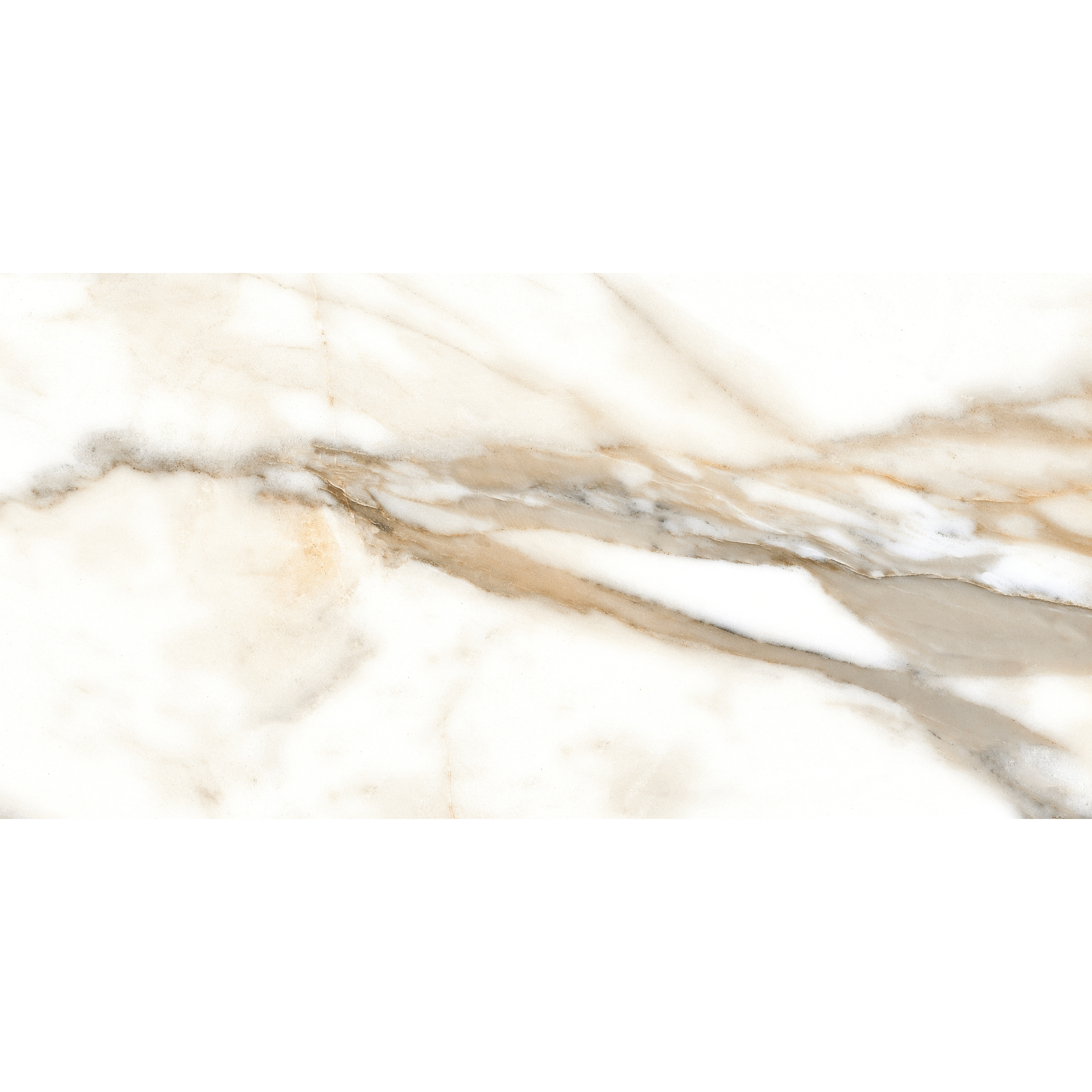 CALACATTA GOLD 60 x 120 REC