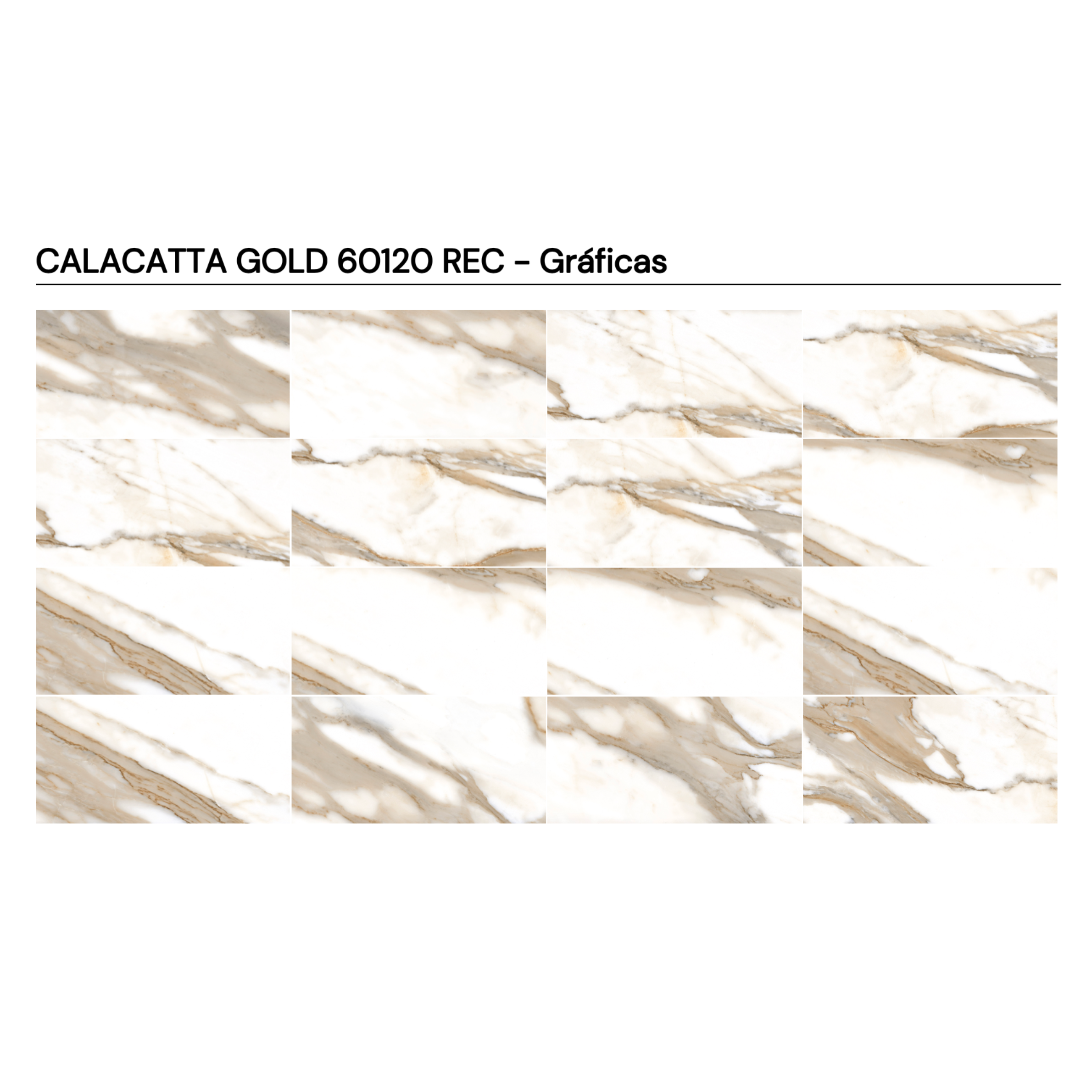 CALACATTA GOLD 60 x 120 REC