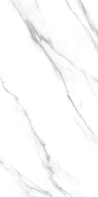DEC.CARRARA B NPLUS