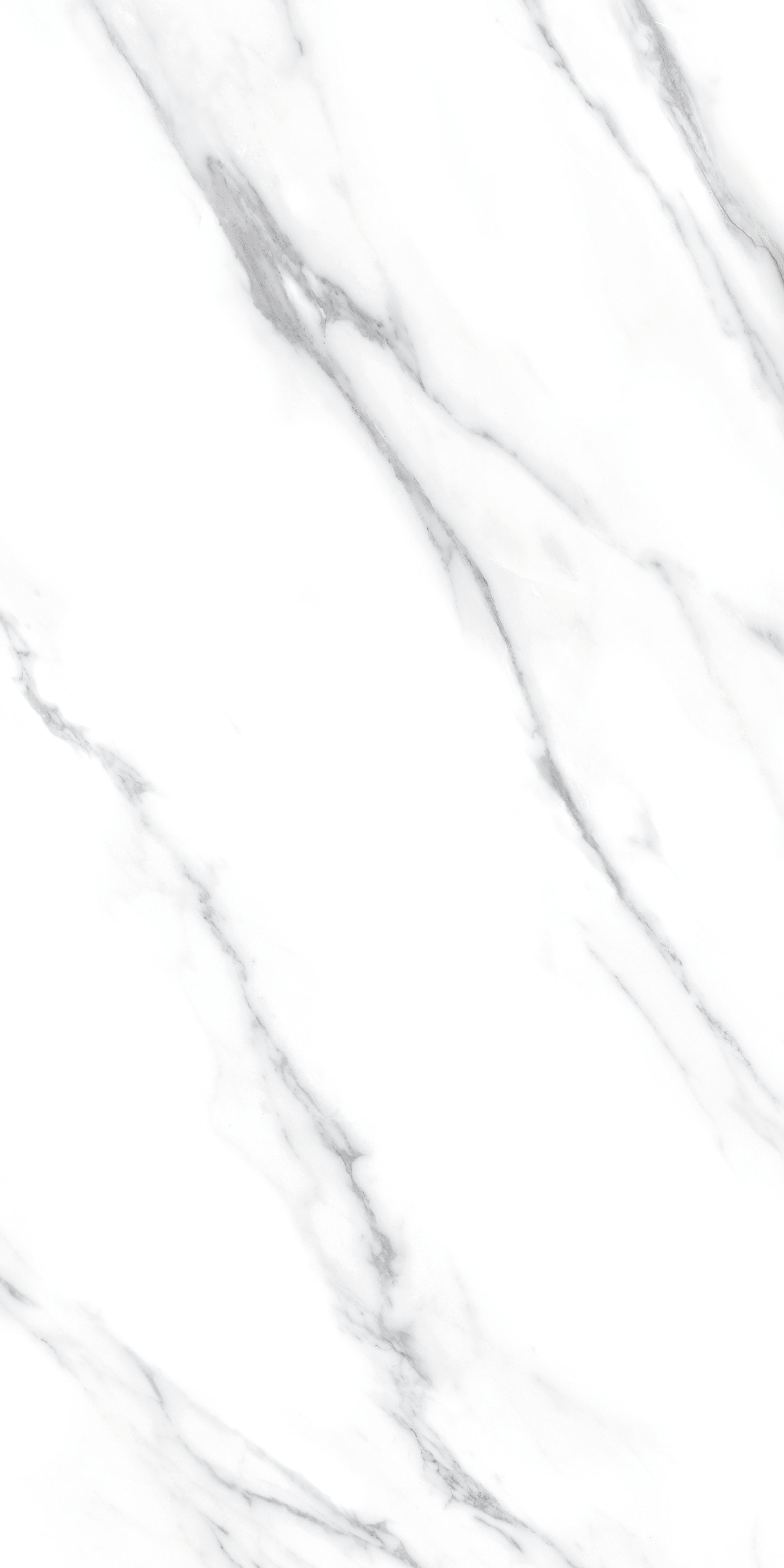 DEC.CARRARA B NPLUS