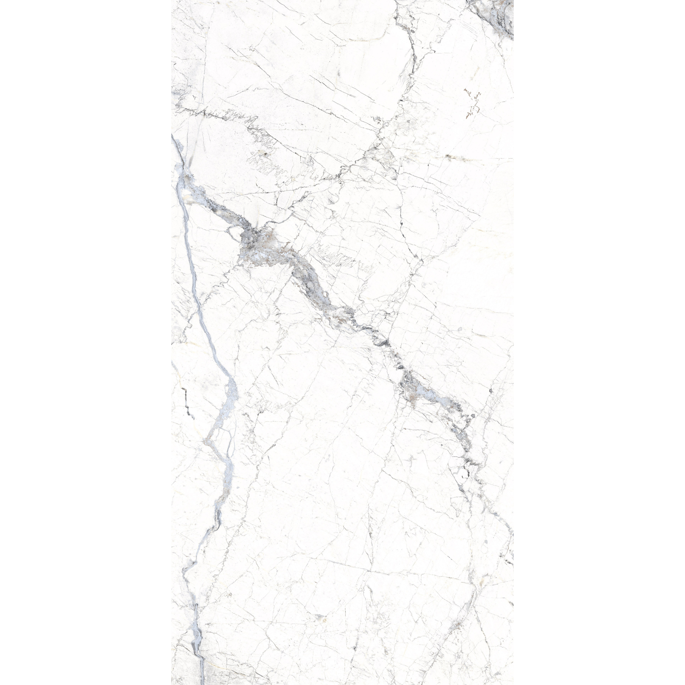 DEC. WINDSOR WHITE B 60 × 120 cm SSHINE