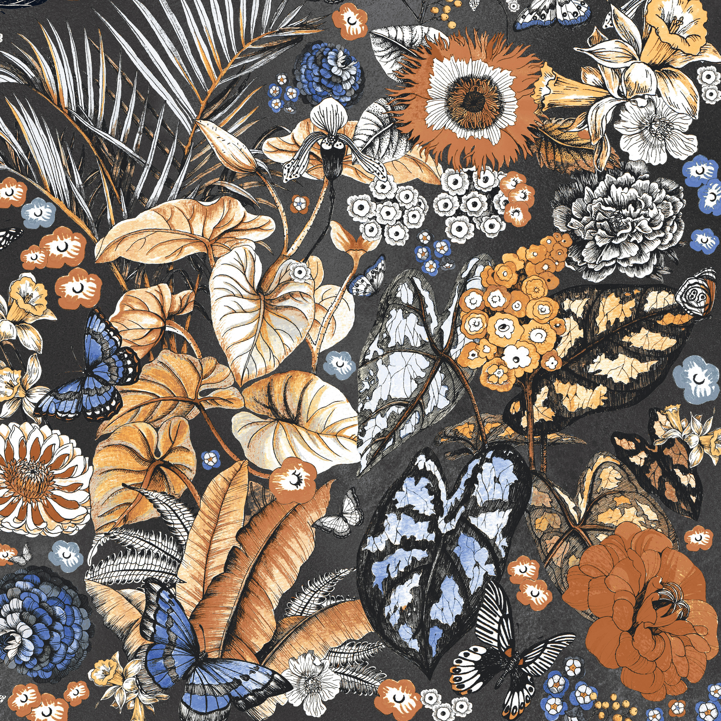 DEC.HYDRA BLACK 90x90 SSHINE