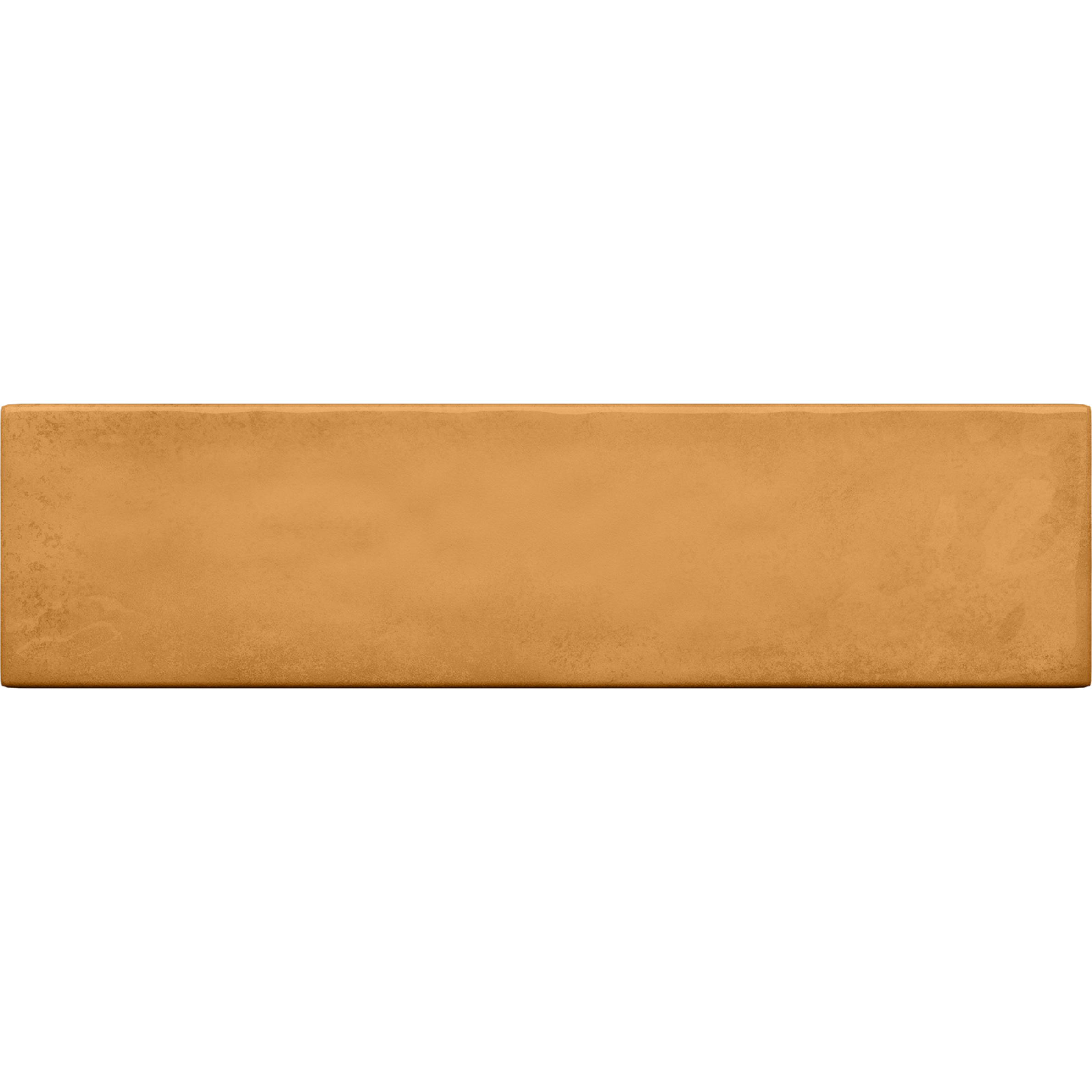 Masovia senape A gloss STR