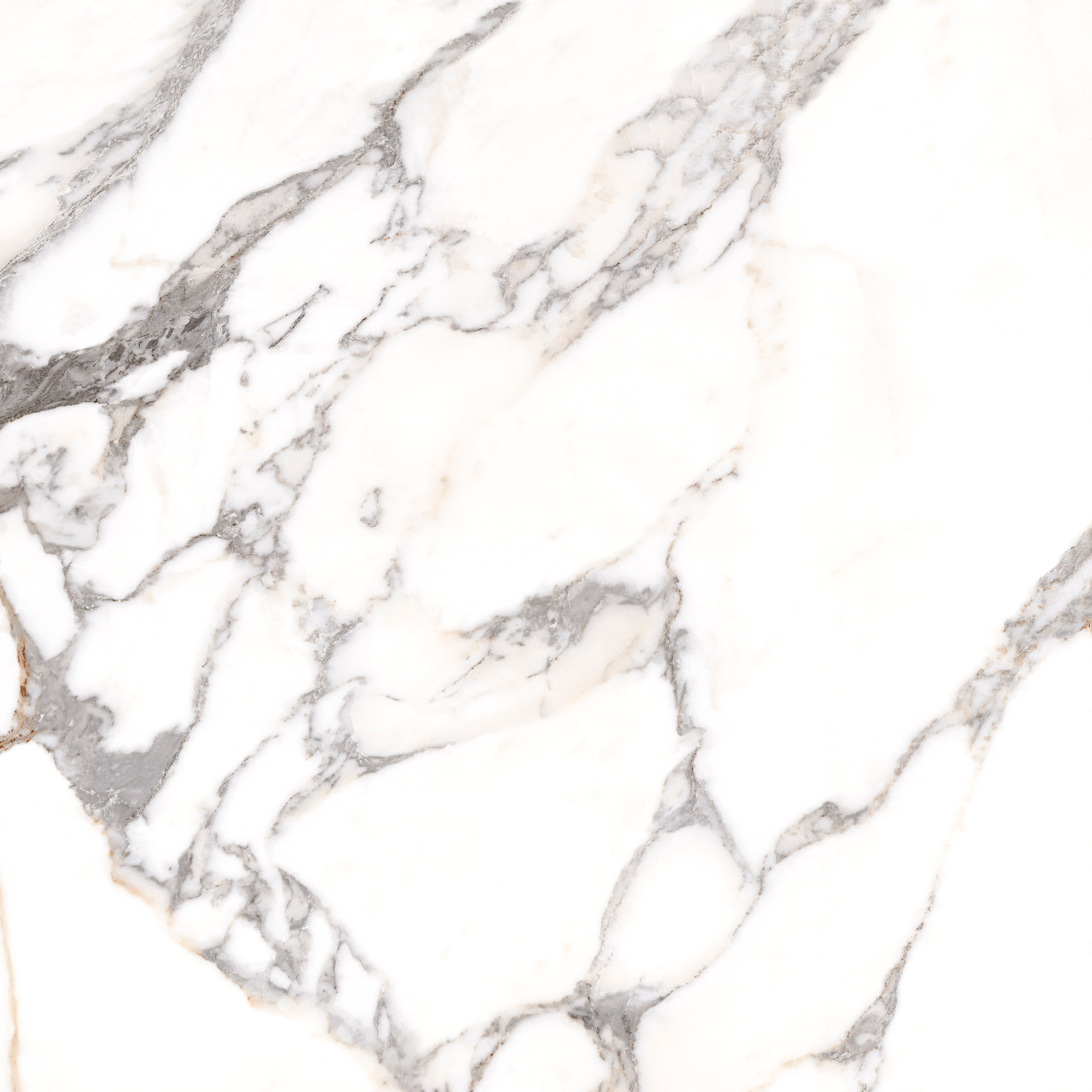 OPERA WHITE 60120 REC
