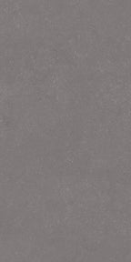 GRESIE CONVERO GRAFIT RECTIFICATĂ MAT 598 X 1198 MM PARADYZ