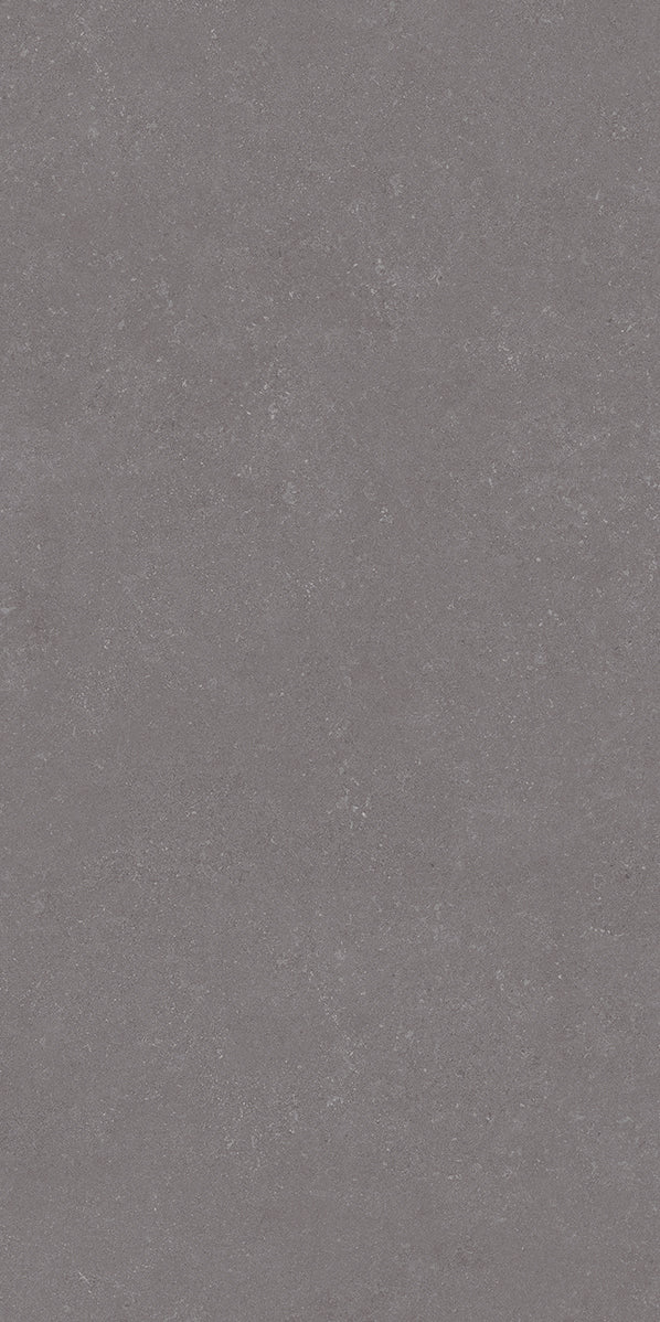 GRESIE CONVERO GRAFIT RECTIFICATĂ MAT 598 X 1198 MM PARADYZ