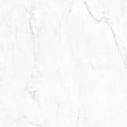 GRESIE PORȚELANATĂ CONCORDE PGC LUSTRUIT 598 X 598 MM TUBADZIN