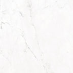 GRESIE PORȚELANATĂ CONCORDE PGC MAT 798 X 798 MM TUBADZIN