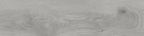 GRESIE PORTELANATA GRI MAT TAIGA GREY 30X120 CM INTERIOR-EXTERIOR STARGRES