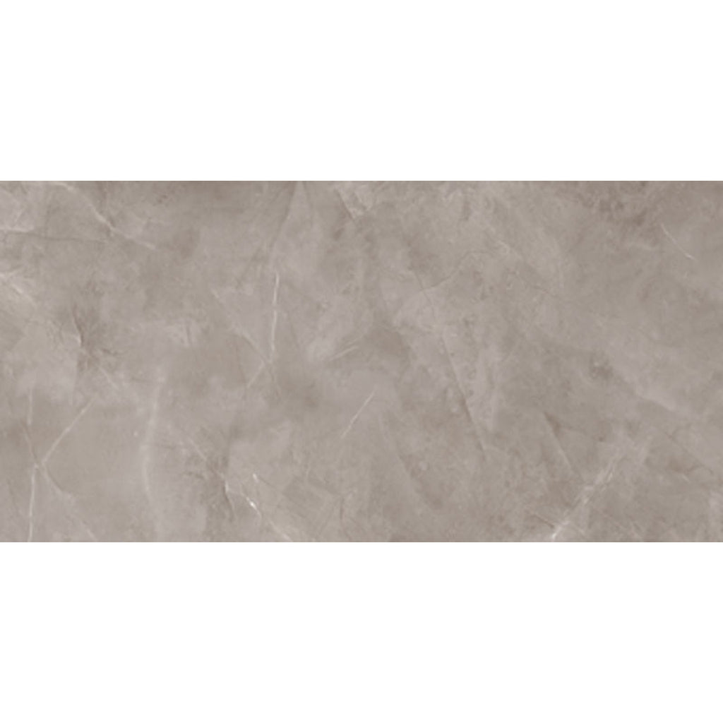 GRESIE PORȚELANATĂ HARMONIC GRI LUSTRUIT 1198 X 598 MM TUBADZIN