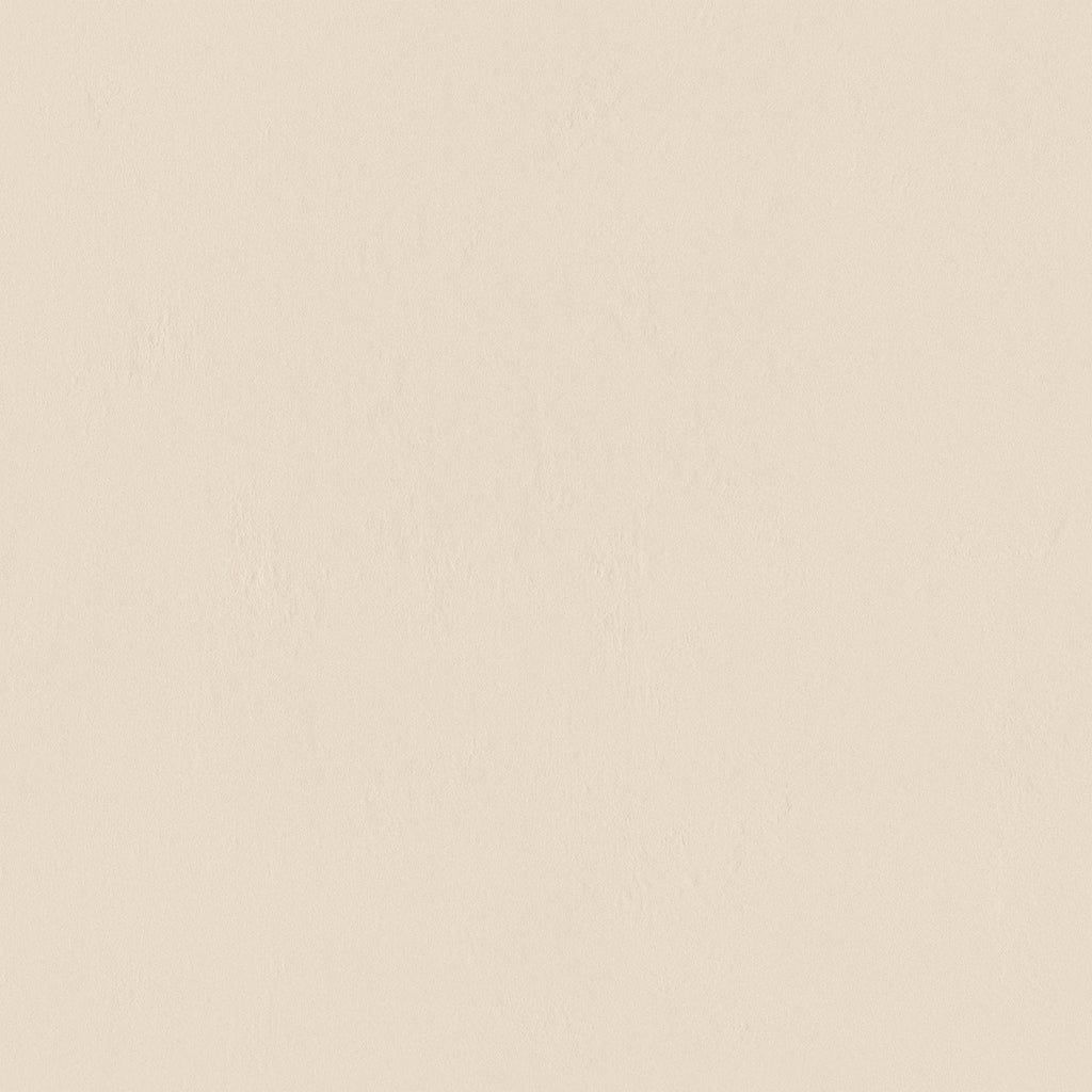 GRESIE PORȚELANATĂ INDUSTRIO FILDEȘ 798 X 798 MM TUBADZIN
