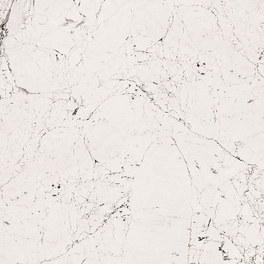 GRESIE PORȚELANATĂ SOPHISTICATED ALB LUSTRUIT 598 X 598 MM TUBADZIN
