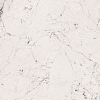 GRESIE PORȚELANATĂ SOPHISTICATED ALB LUSTRUIT 598 X 598 MM TUBADZIN