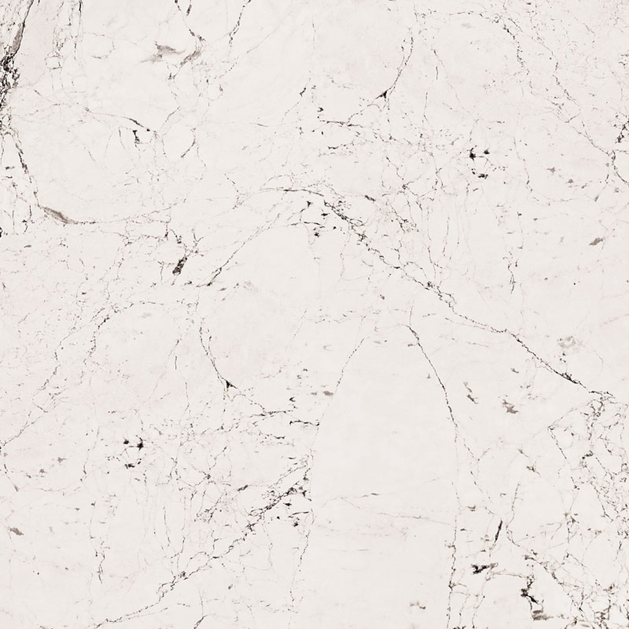 GRESIE PORȚELANATĂ SOPHISTICATED ALB LUSTRUIT 598 X 598 MM TUBADZIN