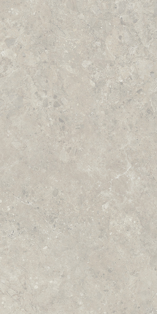 GRESIE SEDINA GRI RECTIFICATĂ MAT 598 X 1198 MM PARADYZ
